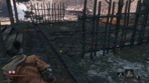 Резервуар Асина в игре Sekiro: Shadows Die Twice