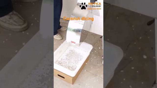 Мурка Автоматический станок для нарезки овощей и фруктов CD-800 Automatic Cutting Machine pilam.ru