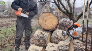 STIHL MS 151TC vs ECHO 2511TES / Which one is better? / Hangisi daha iyi? #stihl #echo