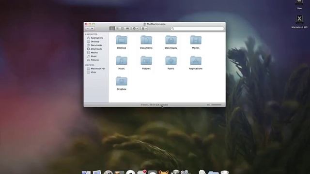 Display Finder Status Bar and Location Bar in Mac OS X Lion With This Lion Tip смотреть онлайн