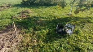 Осенние работы в саду.Псковская жизнь