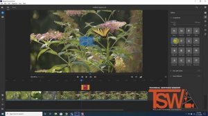 Adobe Premiere Rush