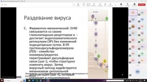 Микробиология. Лекция 2