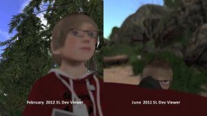 February2012 SL Development Viewer VS June2011 Development Viewer on the Mac