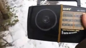 Передатчик на 6п3с