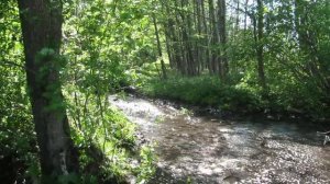 Фрилендер 1 на бездорожье