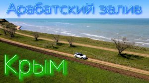 Крым. Арабатский залив. Азовское море. Весна 2021. Солнечно-зелёное настроение.