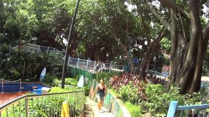 Аквапарк Chimelong Water Park в Гуанчжоу, сентябрь 2017