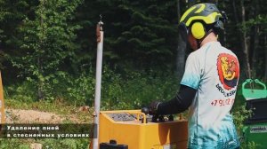 Как мы удаляем пни