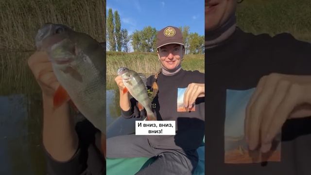 Воронеж - это и про классный отдых ра природе. Можайский пруд, Каширский район. #рыбалка смотреть онлайн