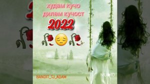 худам кучо дилам кучост 2022 эрони ошики
