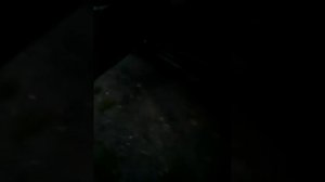 Сеат толедо 1997