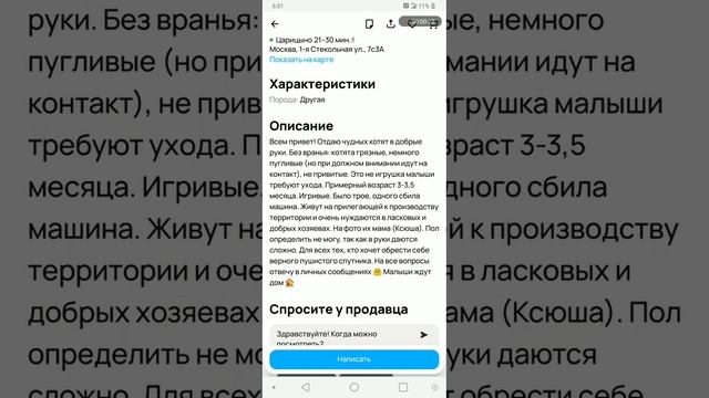 Пустой флакон за 5 тонн и котята в придачу.