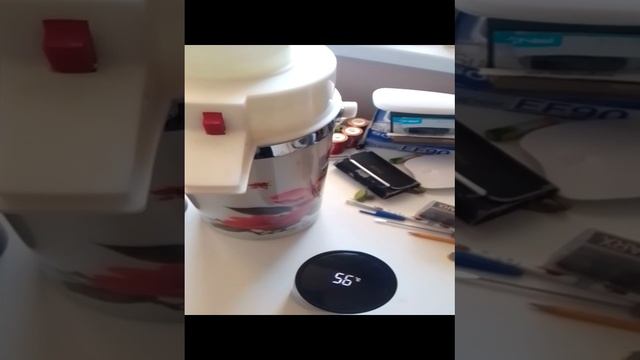 Китайский термос времён СССР с помпой