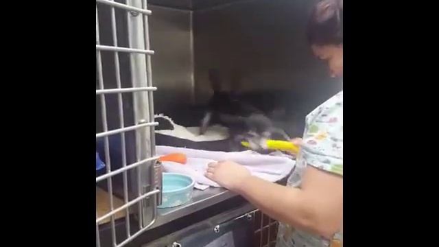 Kizoa Online Movie Maker: SallySue смотреть онлайн