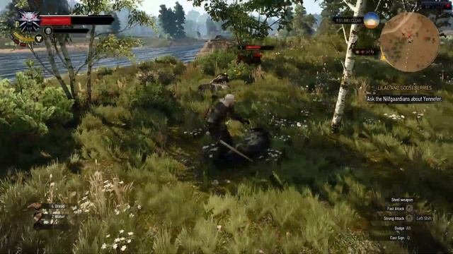 The Witcher 3 Wild Hunt R9 280X AMD FX 8350 Max Settings смотреть онлайн