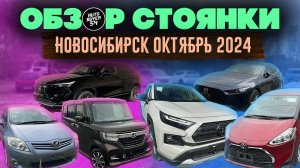 Обзор стоянки Новосибирск Октябрь 2024 / VEZEL, SIENTA, N-BOX, RAV4, MAZDA3, AURIS.