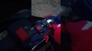 ОБЗОР КРОССОВОГО КВАДРОЦИКЛА MOTOLAND RALLY 250 И ПОКАТУШКИ