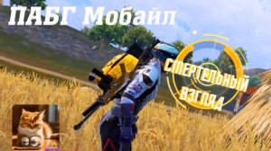 ПАБГ Мобайл Кватро #pubgmobile