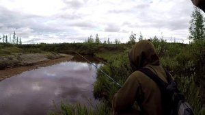 Рыбалка.Ловлю щуку на блесну в районе Ямала.