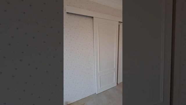 Раздвижная дверь с доводчиком.