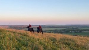 Кабардинская порода лошадей|Белгородская Область Лето 2023