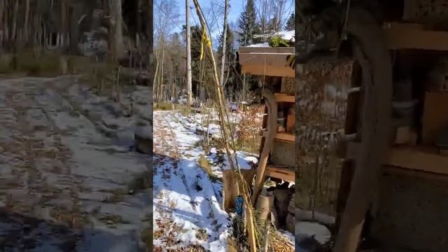 Детский садик на природе. лесной Детский сад.  Германии
