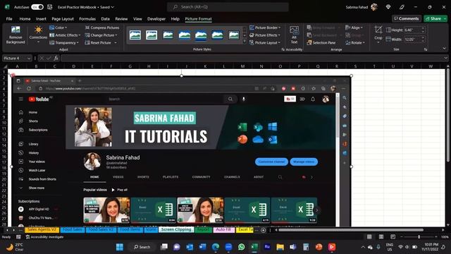 How to add a screenshot of a window in your Excel document смотреть онлайн