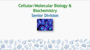 Indian River Regional Science & Engineering Fair - Virtual Secondary Division Awards Ceremony 2/8/2