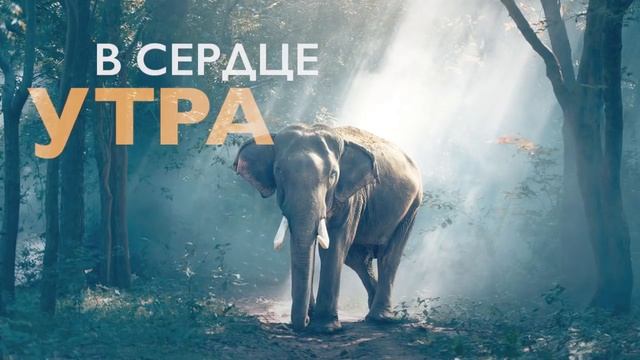Утренняя медитация для идеального дня | 10 минут настроя и гармонии