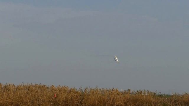 2016 IMAC Japan Final Sunday Freestyle Junichi Inoue смотреть онлайн