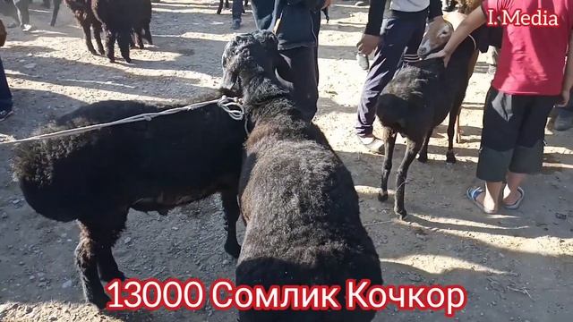 РАЗЗАКОВ МАЛ КУЙ БАЗАР