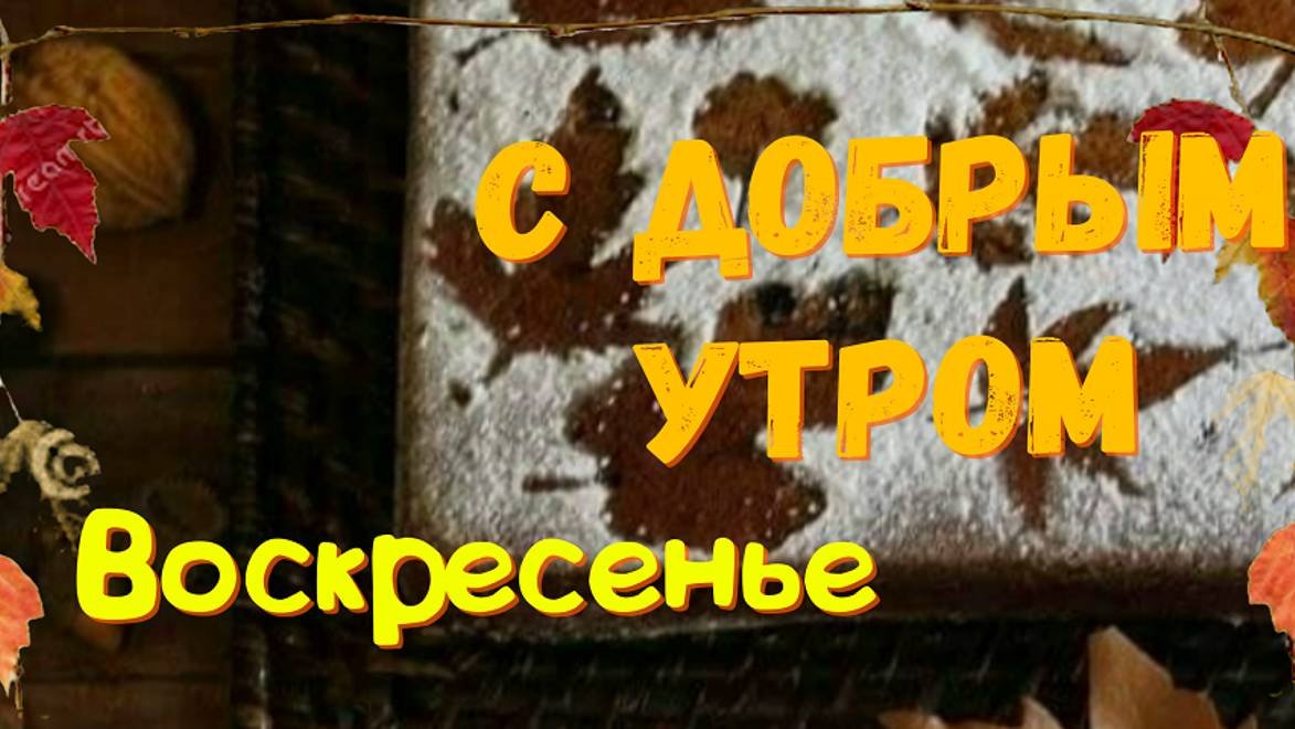 Доброе утро - Открытки с добрым утром  #доброеутро #сдобрымутром #сдобрымутромихорошимднем #день
