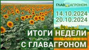 Итоги недели с ГлавАгроном. 14.10.2024 - 20.10.2024. Новости для агрономов от портала glavagronom.ru