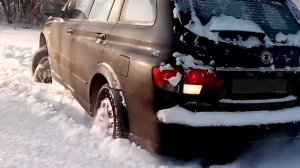 Кайрон по снегу