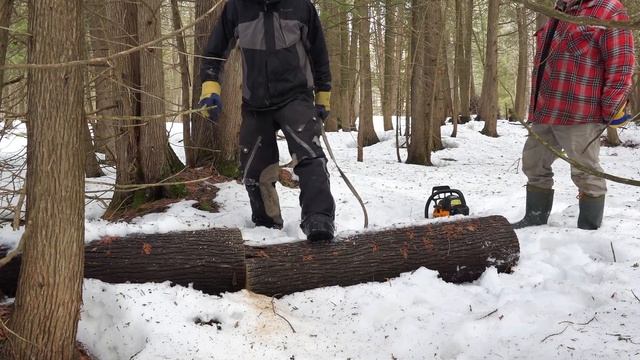 Putting in our Log Cabin Windows! Big Difference! / Ep80 / Outsider Log Cabin смотреть онлайн