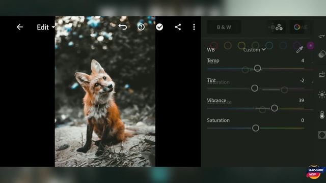 How To Edit Wildlife Photos Lightroom Mobile Preset DNG#lightroom#editing#amishpictures смотреть онлайн