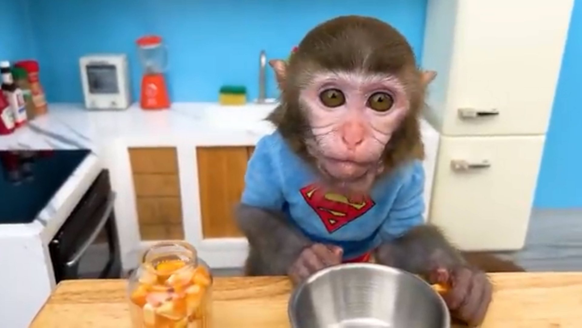 Обезьянка Беби  играет с утятами в бассейне