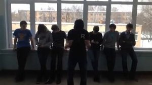 Harlem Shake NSK (original version)