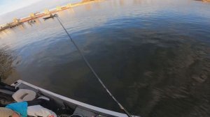 MN Mississippi Pool 4 Early Spring Fishing for Walleyes