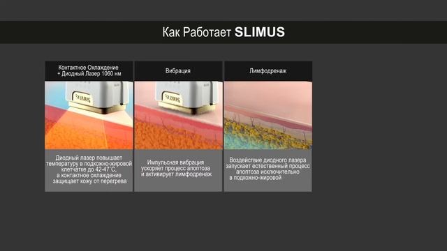 Slimus аппарат для лазерного липолиза (с технологией LVAT)
