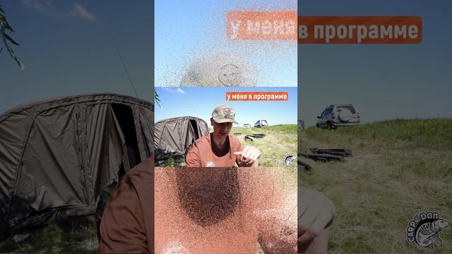Противостояние двух прикормочныхб программ