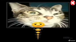 Raldi's Crackhouse - FAST MODE