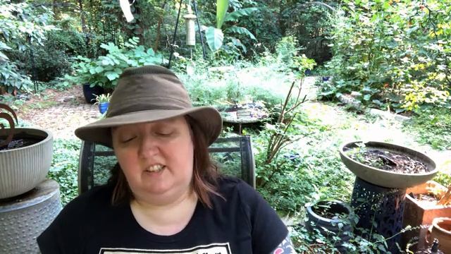 Readercon 31 - Ursula Vernon Reads Excerpt from Untitled ("The Floating House Thing") смотреть онлайн