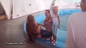 Морж шлепает девушку по жопе