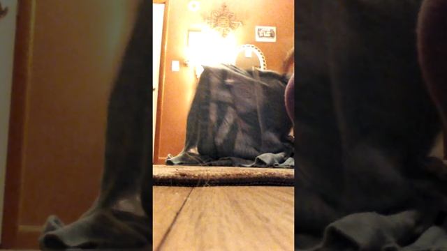 Asmr💖 clothing/ shopping haul show & tell смотреть онлайн