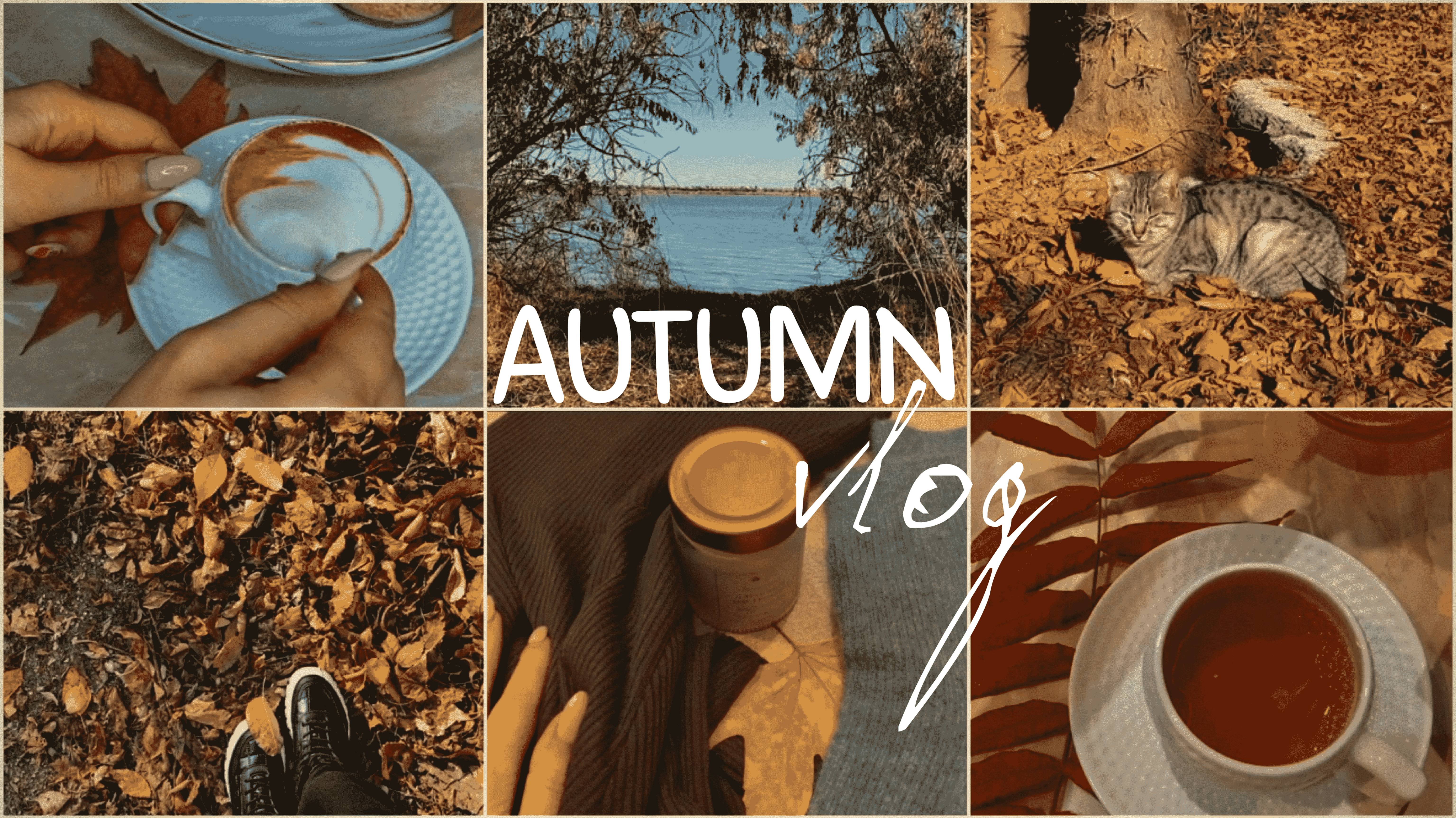 Самый ОСЕННИЙ влог!🍁Уют, покупки и природа)