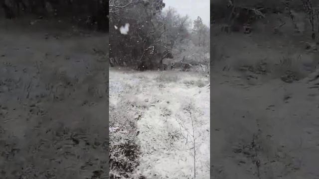 Первый снег  село Ровное.