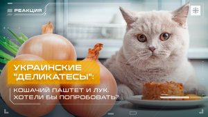 Украинские "деликатесы": Кошачий паштет и лук. Хотели бы попробовать?