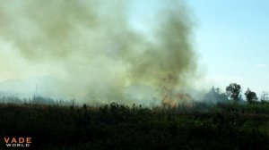 Dangerous situation -  TANK TRUCK DRIVER DECIDED  DRIVE THROUGH THE FIRE